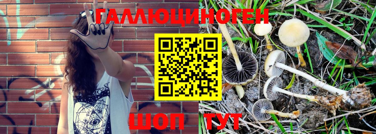 купить наркотики сайты  Вход с VPN  Рыбинск  Псилоцибиновые грибы MAGIC MUSHROOMS 