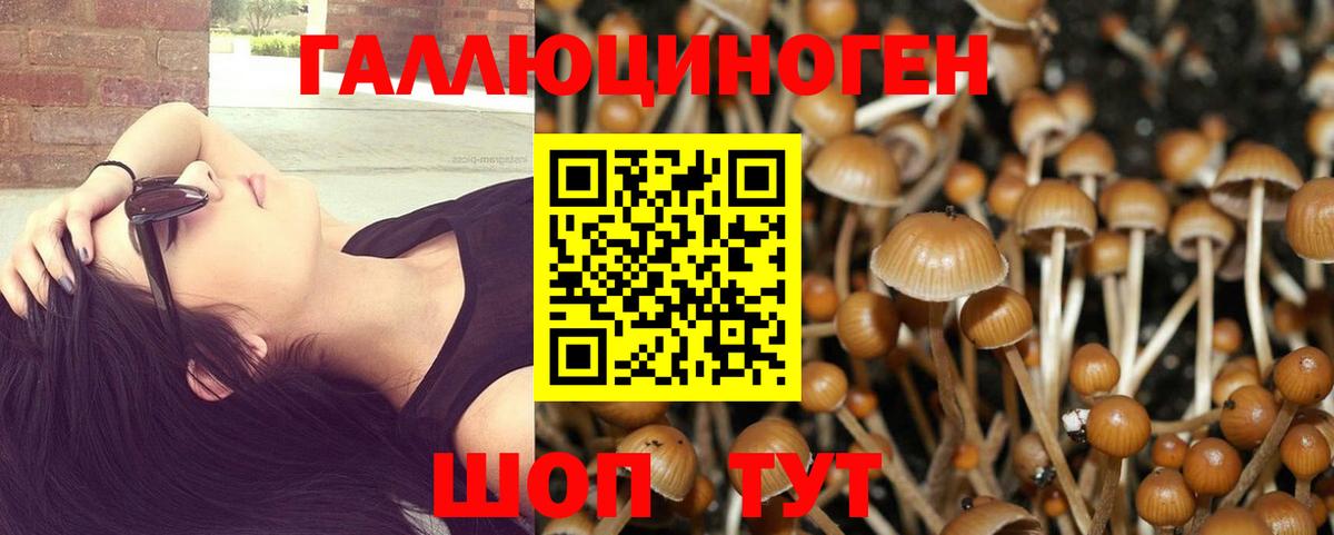 Галлюциногенные грибы Magic Shrooms Рыбинск